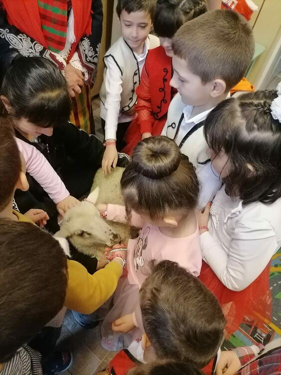 Бяло агънце влезе в детската градина в Смилян