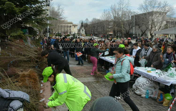 Хасковлии извиха опашка за безплатните 13 500 дръвчета