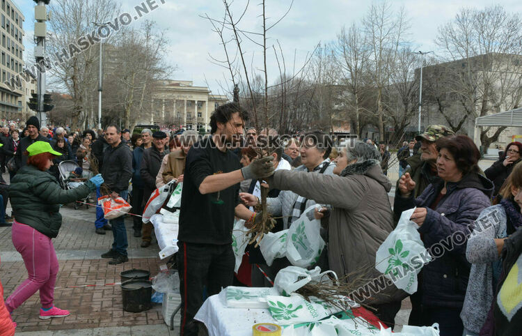 Хасковлии извиха опашка за безплатните 13 500 дръвчета