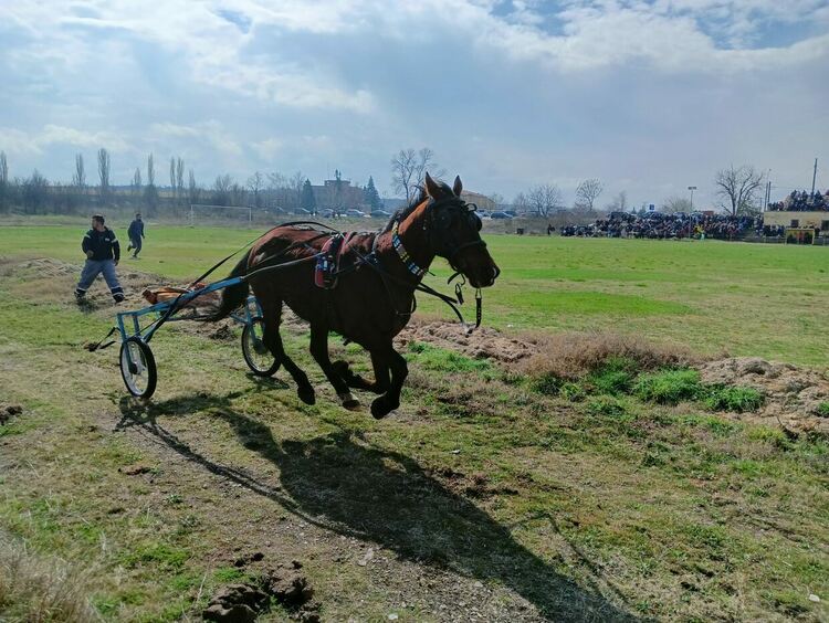Стотици се стекоха на кушиите в Дебър