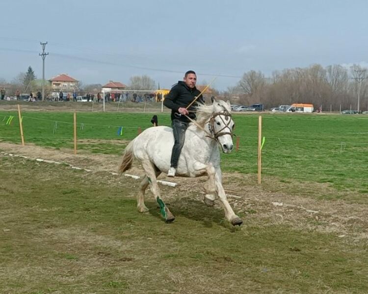 Стотици се стекоха на кушиите в Дебър