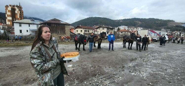 Конете Шарко, Тайсън и Рони обраха  наградите от Тодоровден  в Чепеларе