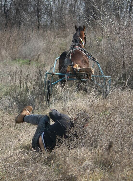 Стотици се стекоха на кушиите в Дебър
