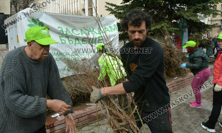 Хасковлии извиха опашка за безплатните 13 500 дръвчета