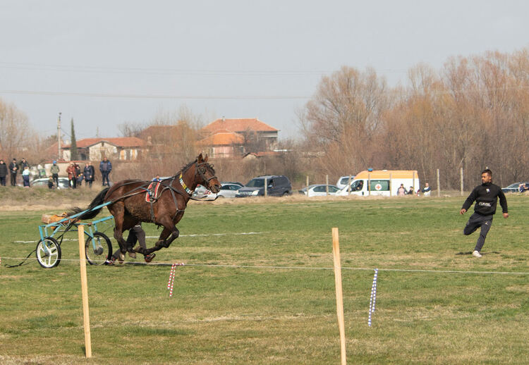Стотици се стекоха на кушиите в Дебър