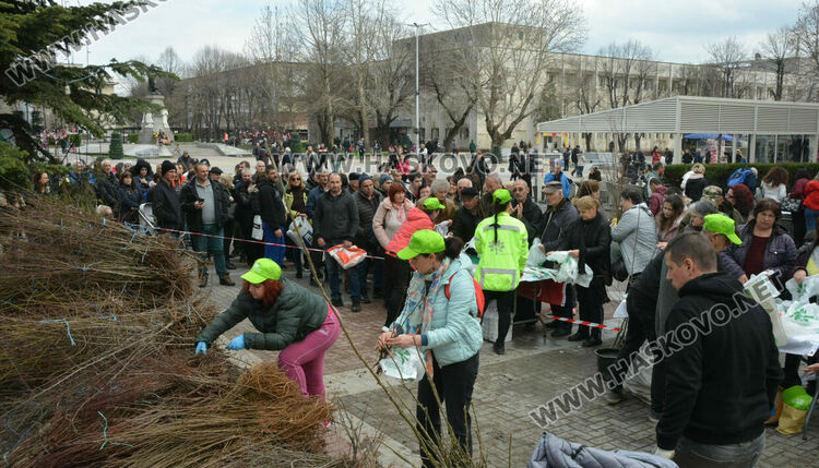 Хасковлии извиха опашка за безплатните 13 500 дръвчета