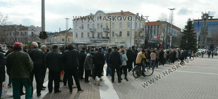 Хасковлии извиха опашка за безплатните 13 500 дръвчета