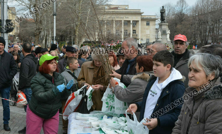 Хасковлии извиха опашка за безплатните 13 500 дръвчета