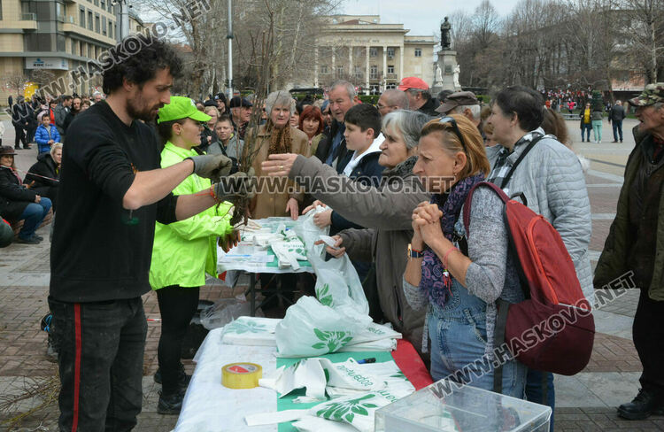 Хасковлии извиха опашка за безплатните 13 500 дръвчета
