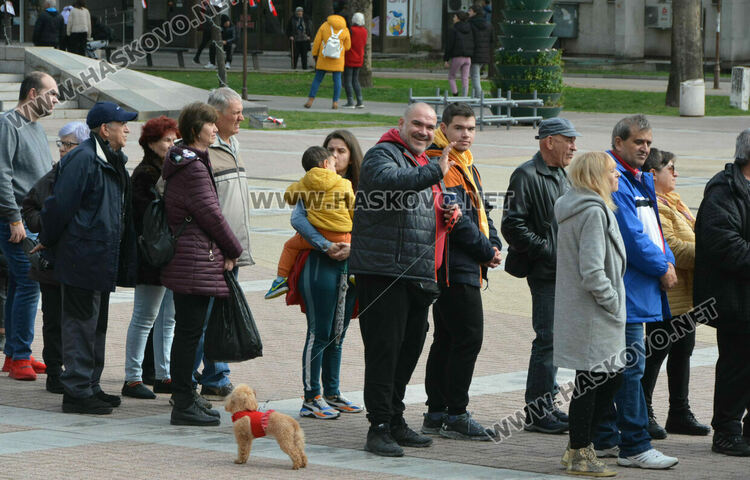 Хасковлии извиха опашка за безплатните 13 500 дръвчета