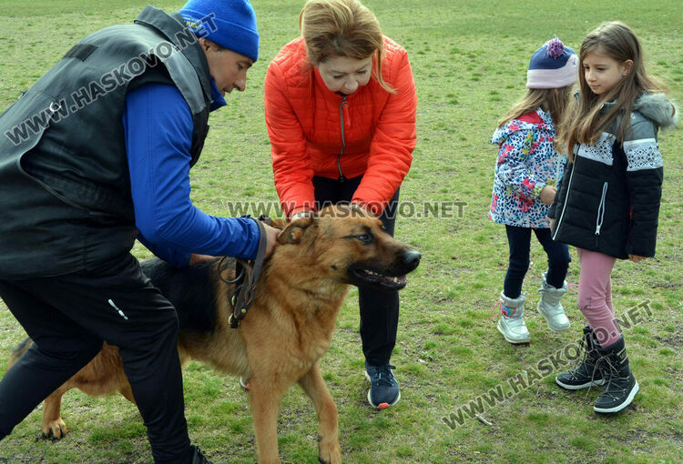 Интензивни тренировки за послушание за предстоящата киноложка изложба в Хасково