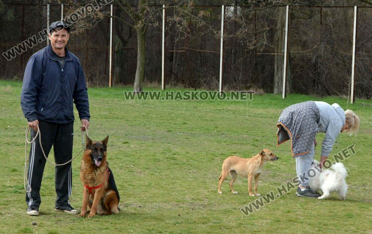 Интензивни тренировки за послушание за предстоящата киноложка изложба в Хасково