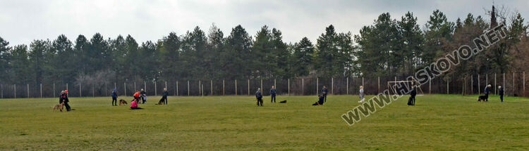 Интензивни тренировки за послушание за предстоящата киноложка изложба в Хасково
