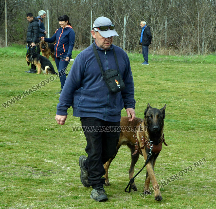 Интензивни тренировки за послушание за предстоящата киноложка изложба в Хасково