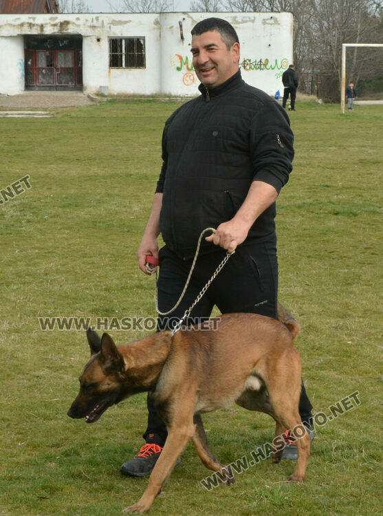 Интензивни тренировки за послушание за предстоящата киноложка изложба в Хасково