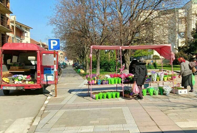 Цветята за 8 март са със старите им цени