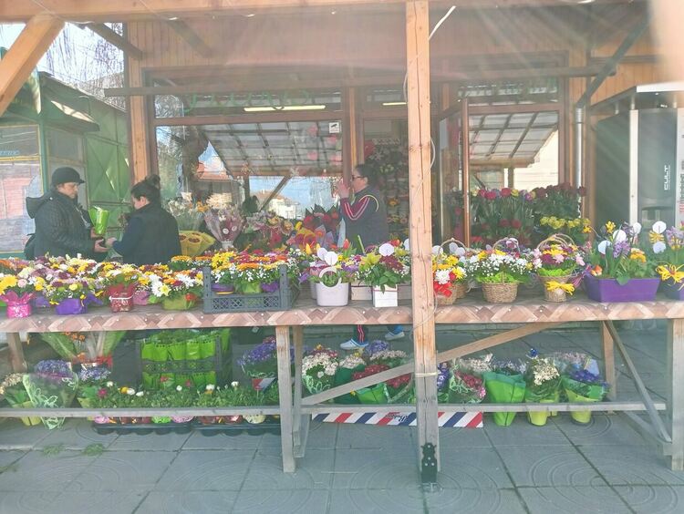 Цветята за 8 март са със старите им цени