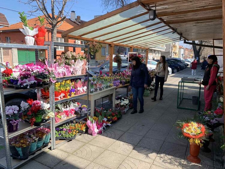 Цветята за 8 март са със старите им цени