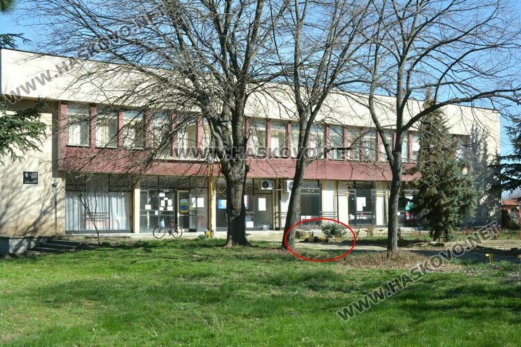 Сигнализираха за отровени кучета и котка в Книжовник