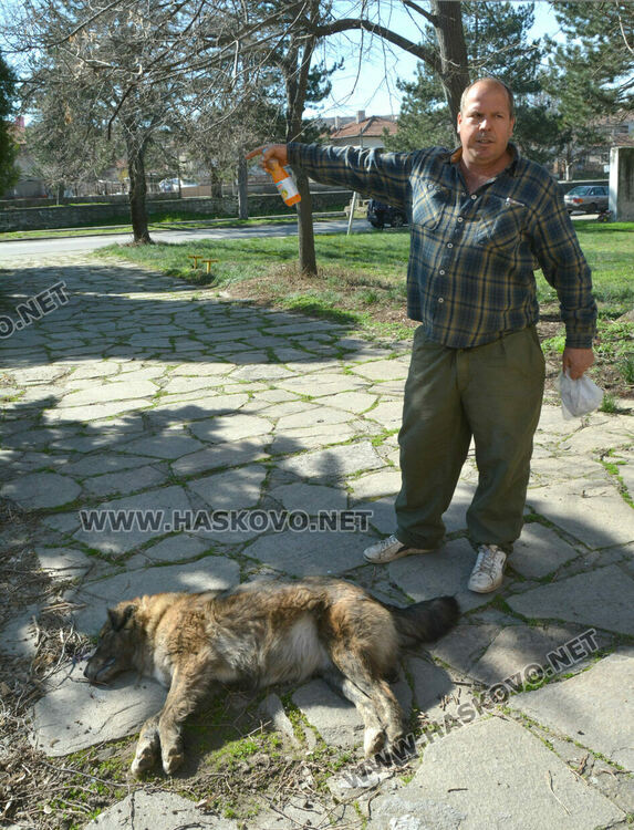 Любомир Ламбрев