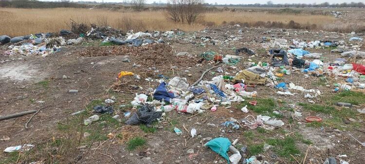 РИОСВ - Пловдив: Община Асеновград е първата, която започна почистване на най-замърсените си терени