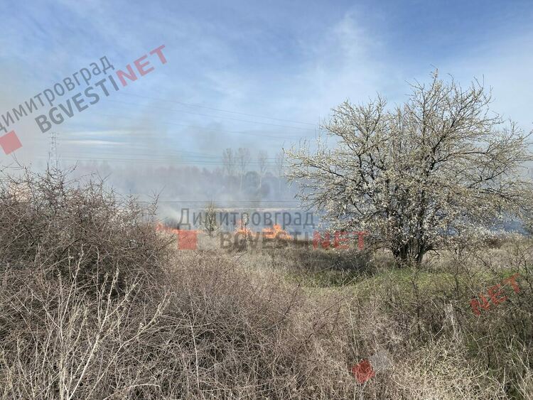 Пожар избухна край Димитровград