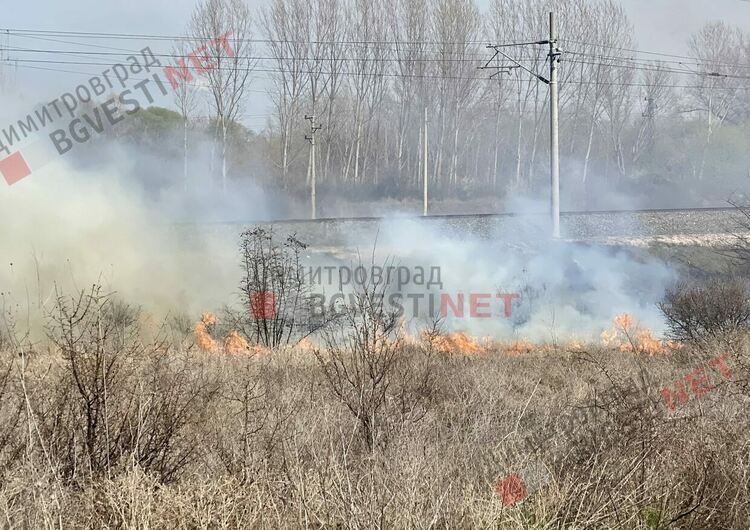 Пожар избухна край Димитровград