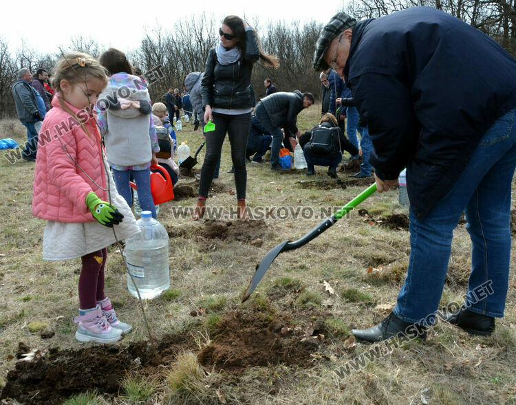 Акациевата горичка между Хасково и Кърджали се увеличи с още 50 дръвчета