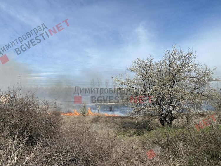 Пожар избухна край Димитровград