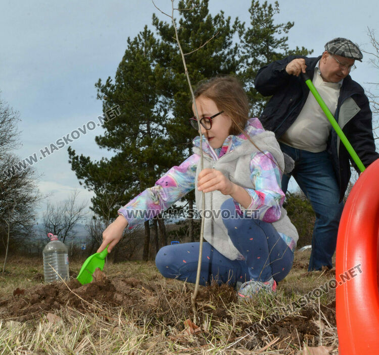 Акациевата горичка между Хасково и Кърджали се увеличи с още 50 дръвчета