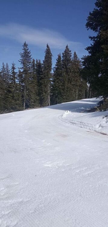 Българският олимпийски комитет събира младите таланти на България в Чепеларе