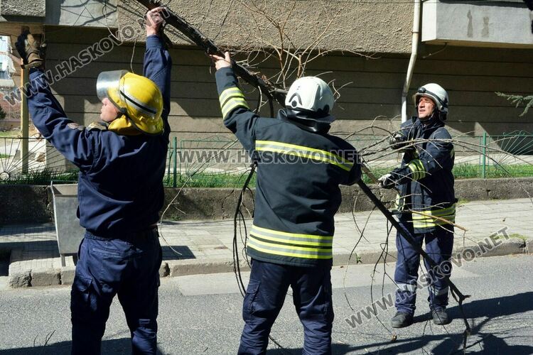 Предупреждение за движение с повишено внимание в райони с дървета, заради силния вятър