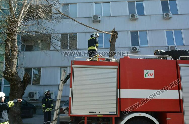 Предупреждение за движение с повишено внимание в райони с дървета, заради силния вятър