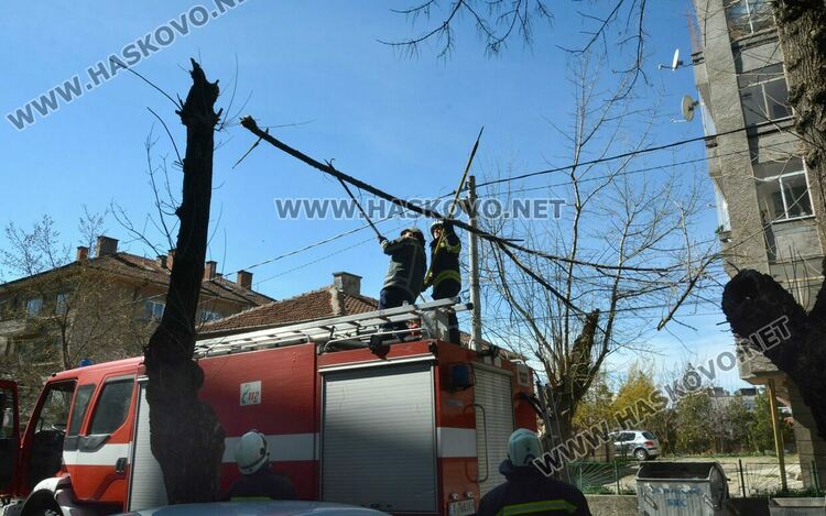 Предупреждение за движение с повишено внимание в райони с дървета, заради силния вятър