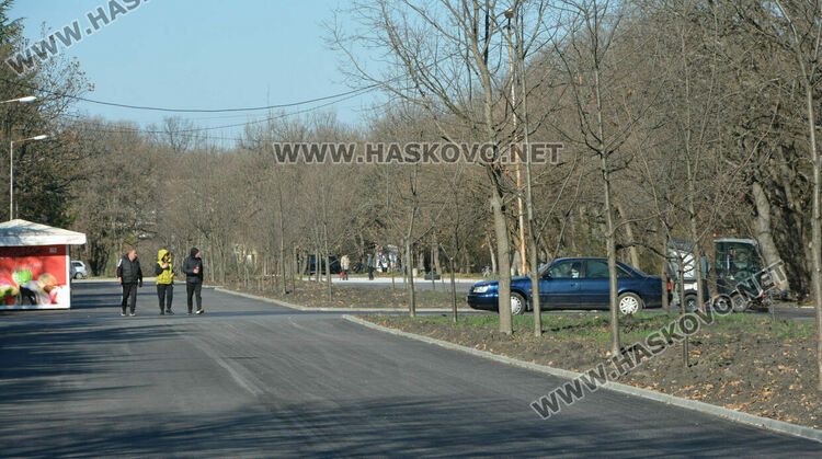 35 фиша за паркиране в зелени площи на „Кенана“. Жалват се от коли по пешеходните алеи
