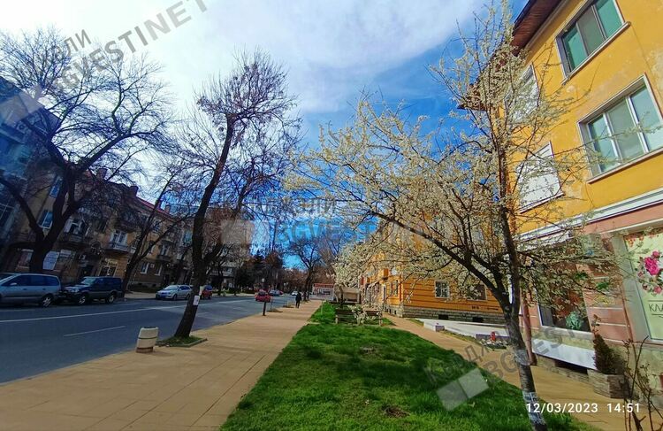 Кърджали разцъфна,пролетта дойде предсрочно