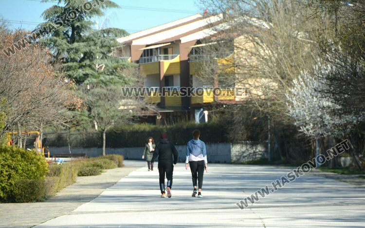 35 фиша за паркиране в зелени площи на „Кенана“. Жалват се от коли по пешеходните алеи