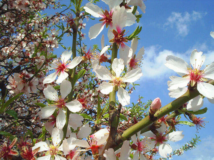 Слънчево и топло в понеделник