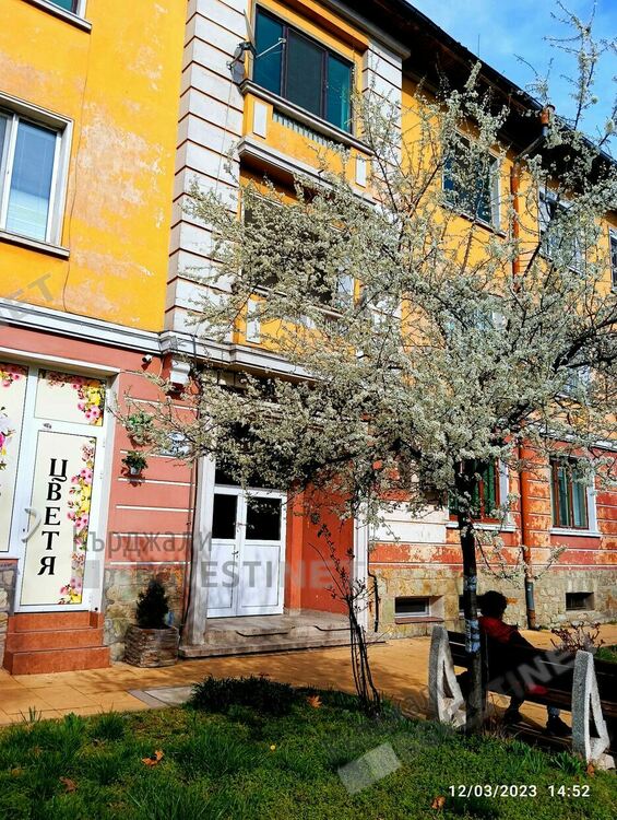 Кърджали разцъфна,пролетта дойде предсрочно