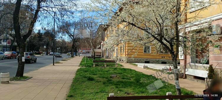 Кърджали разцъфна,пролетта дойде предсрочно