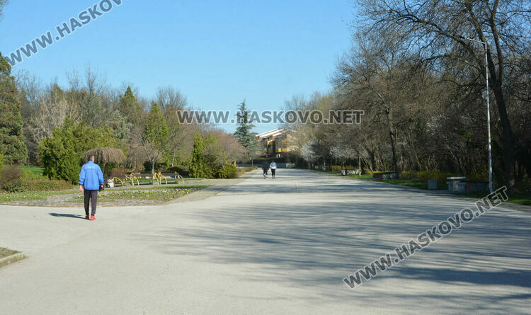 35 фиша за паркиране в зелени площи на „Кенана“. Жалват се от коли по пешеходните алеи