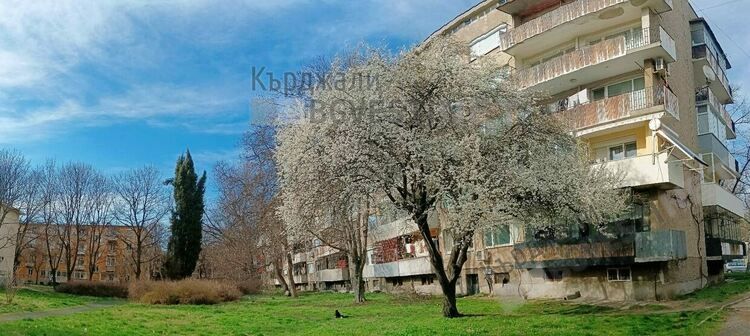 Кърджали разцъфна,пролетта дойде предсрочно