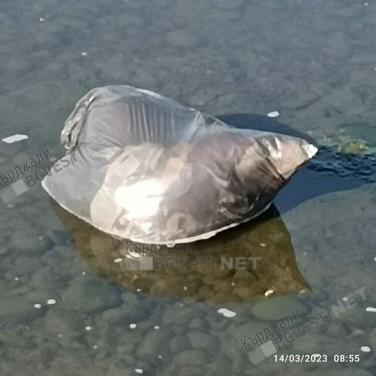 Водното огледало се нуждае от почистване,кметът се среща с министъра на МРРБ