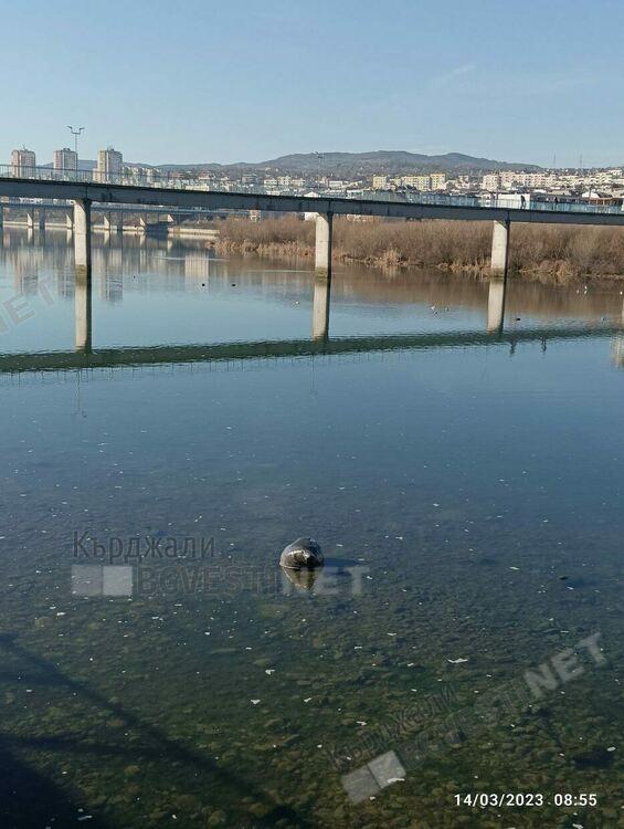 Водното огледало се нуждае от почистване,кметът се среща с министъра на МРРБ