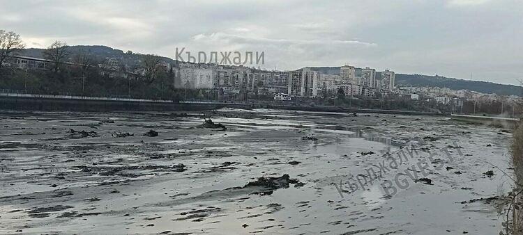 Водното огледало се нуждае от почистване,кметът се среща с министъра на МРРБ
