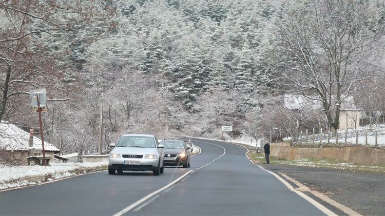 Мартенски сняг ни изненада тази сутрин,Даладжата в бяло