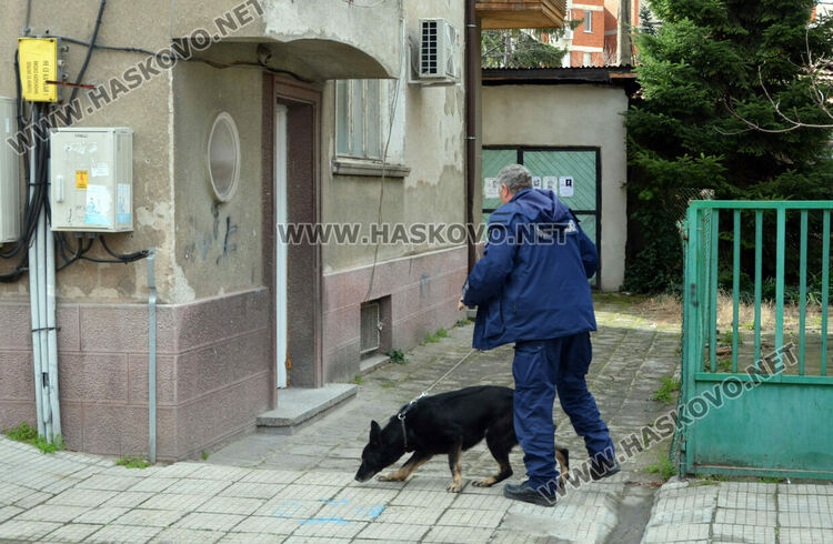 Полицаи със следово куче претърсиха жилище, гараж и кола в Хасково