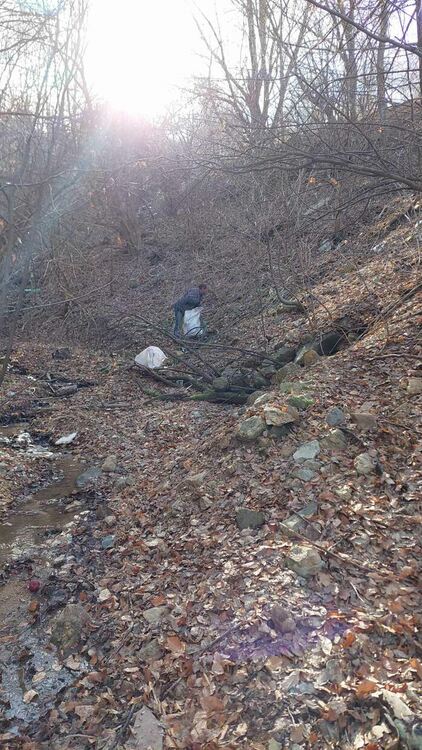 Снимка: РИОСВ След почистването