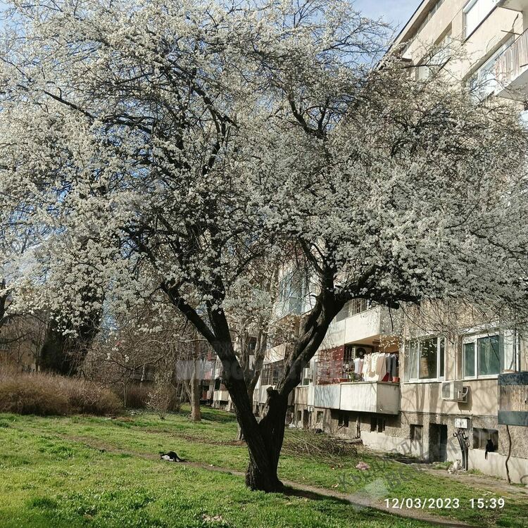 Предимно облачно и дъждовно днес в Кърджали