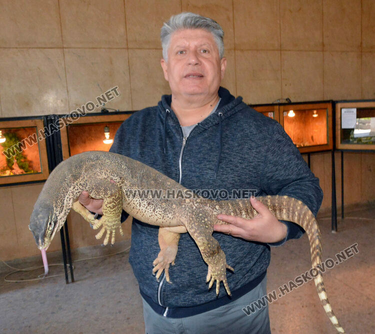 Показаха Нилски варан в екзотичната изложба в Хасково
